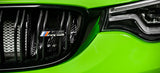Eventuri BMW V2 F87 M2, F2X M135i, M235i, F3X 335i, 435i Carbon intake